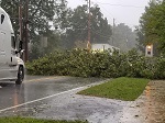 Storm damage fallen trees